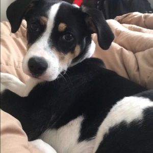 Meet your Posher, Lindsey